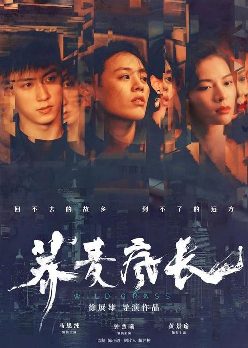 内华达州驾驶执照哪里能买到